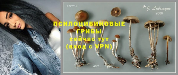 герыч Белокуриха