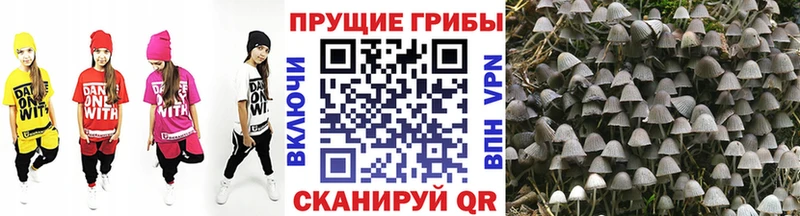 Псилоцибиновые грибы мухоморы  Тотьма 